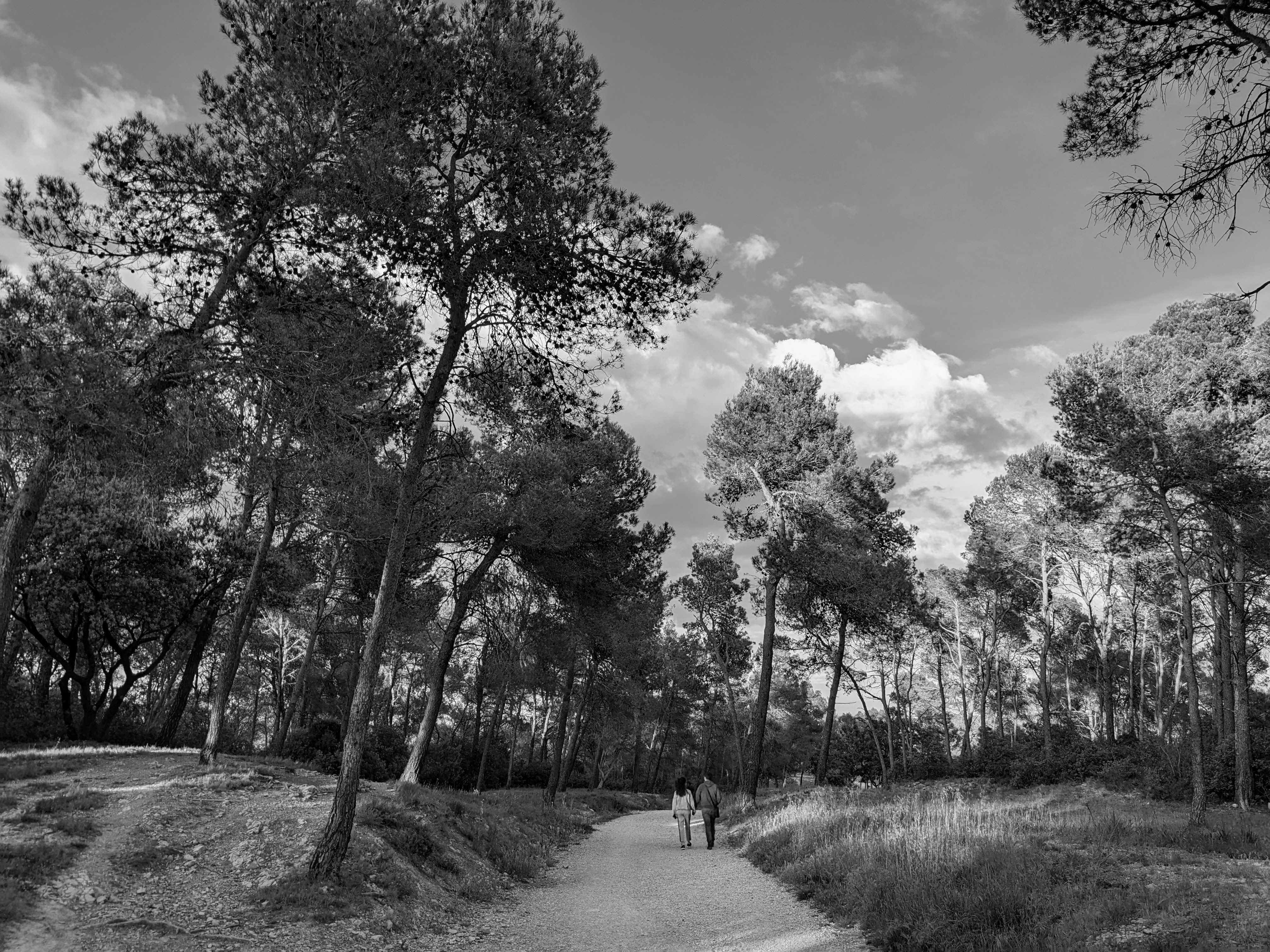 'Promenade du dimanche soir' (Saint-Clément-de-Rivière, Hérault)